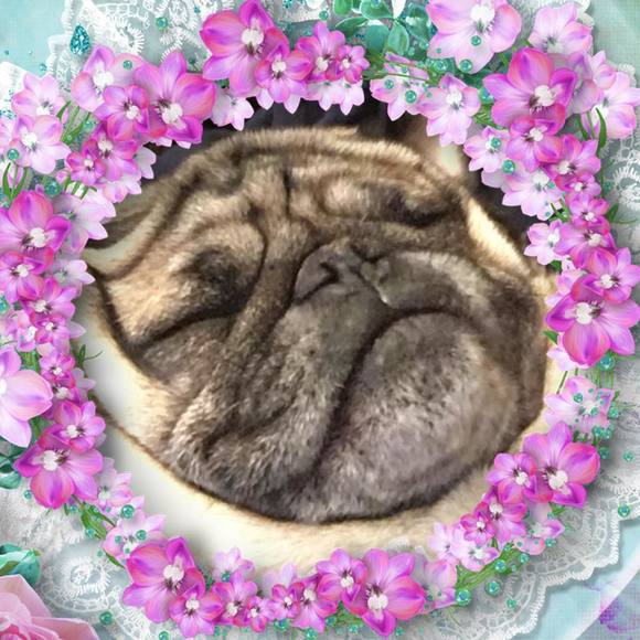 Meet your Posher, Brian - Picture 1 of 1